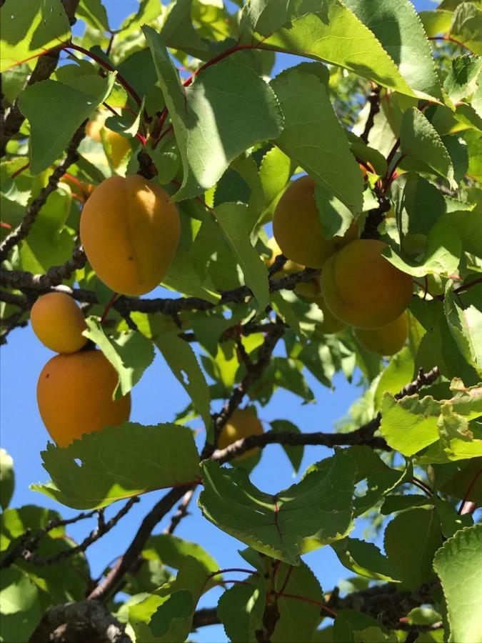 Podere Doccia Di Sopra Casa vacanze *