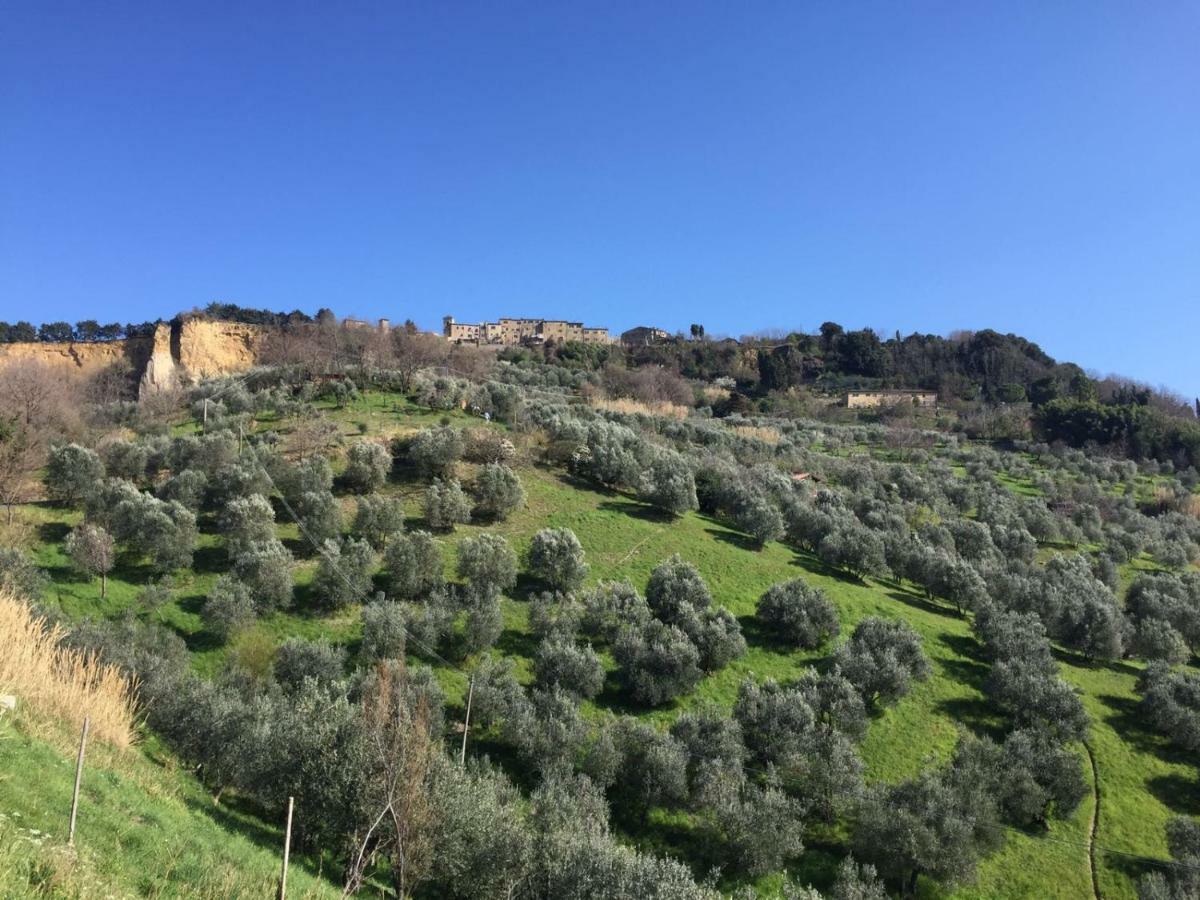 Holiday home Podere Doccia Di Sopra Volterra